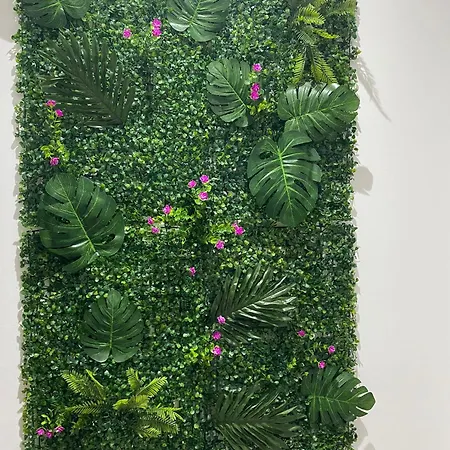 Almanueva Lägenhet Porto Cesareo